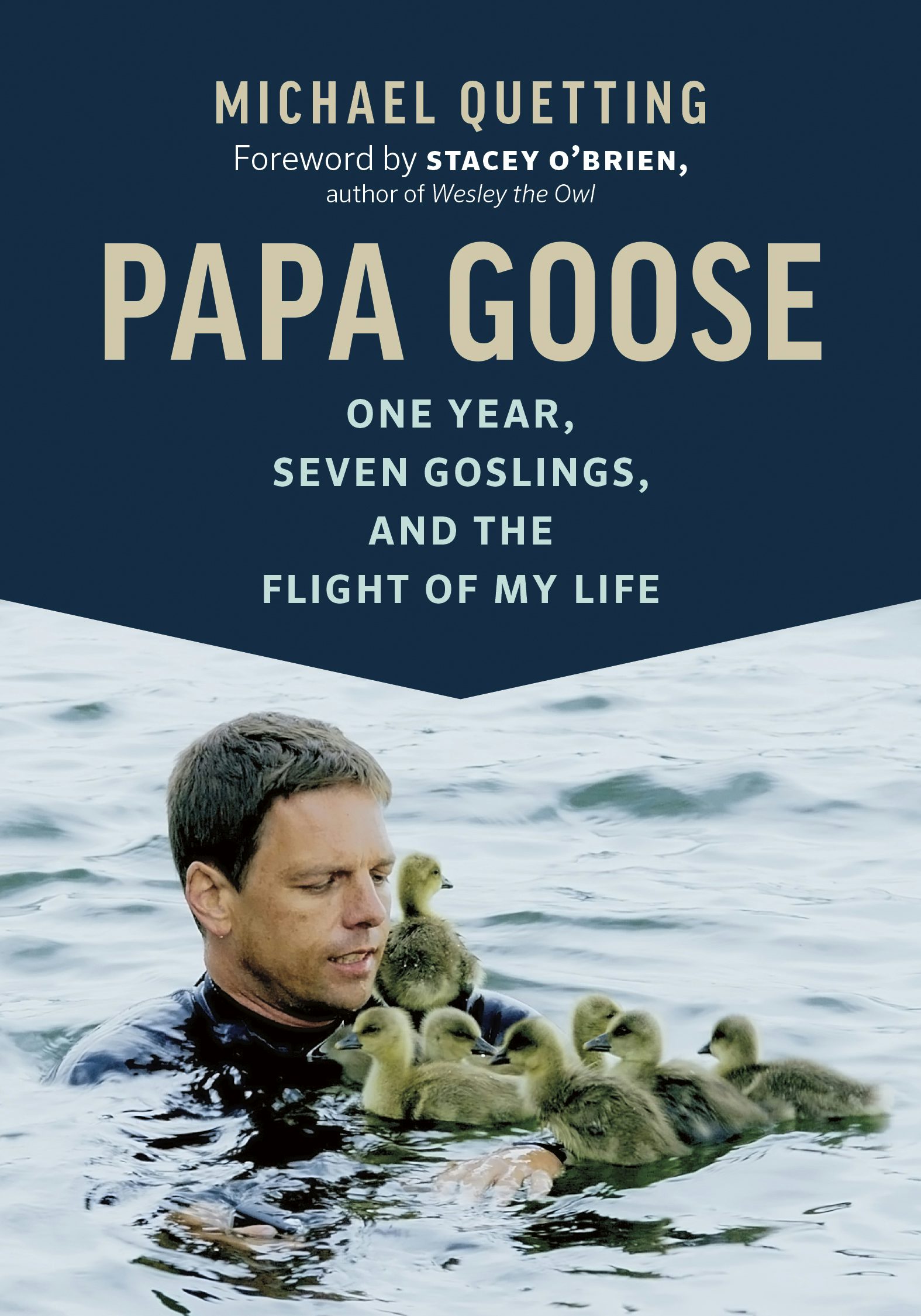 Book cover image for Papa Goose ISBN: 9781771646185